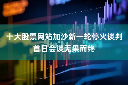 十大股票网站加沙新一轮停火谈判首日会谈无果而终
