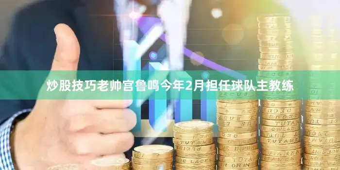 炒股技巧老帅宫鲁鸣今年2月担任球队主教练