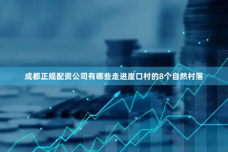成都正规配资公司有哪些走进崖口村的8个自然村落