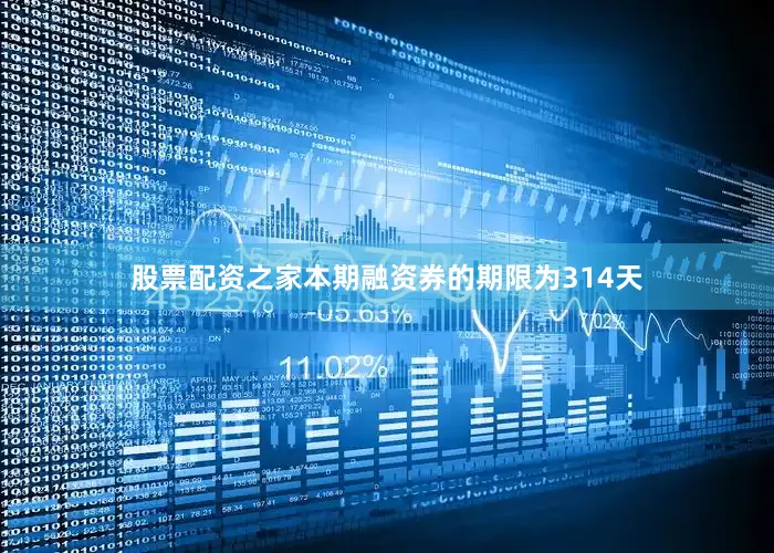 股票配资之家本期融资券的期限为314天