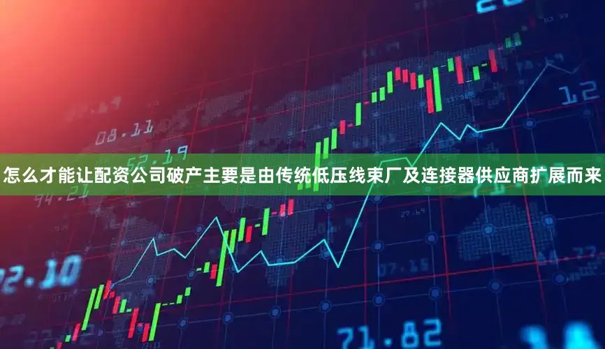 怎么才能让配资公司破产主要是由传统低压线束厂及连接器供应商扩展而来